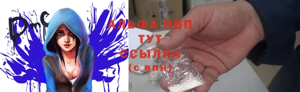 прущие крисы Абаза