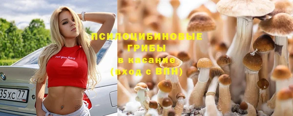 apvp Абинск