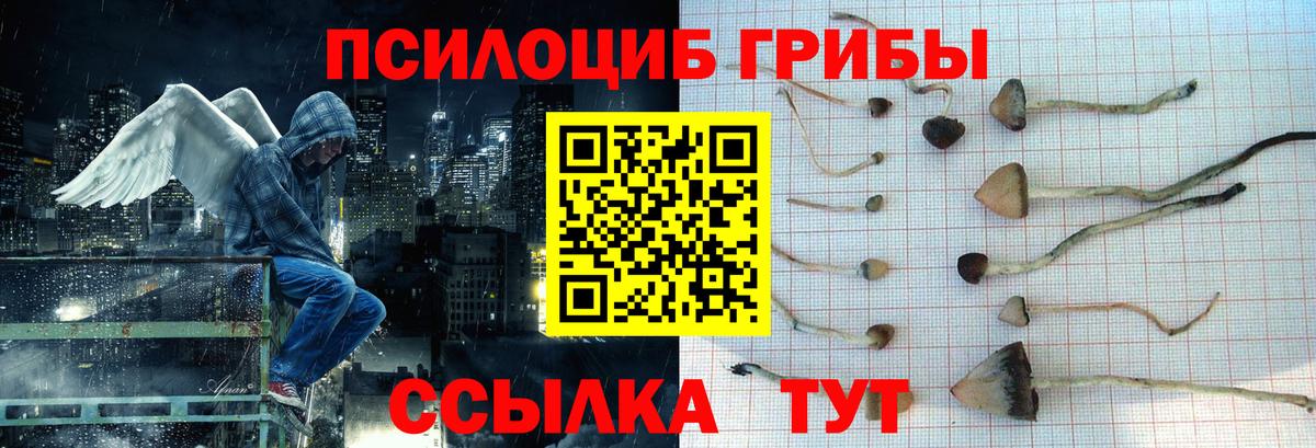 Псилоцибиновые грибы Cubensis Саянск